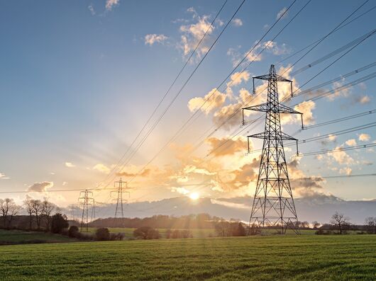 Bild: © Lukasz Pajor – stock.adobe.com