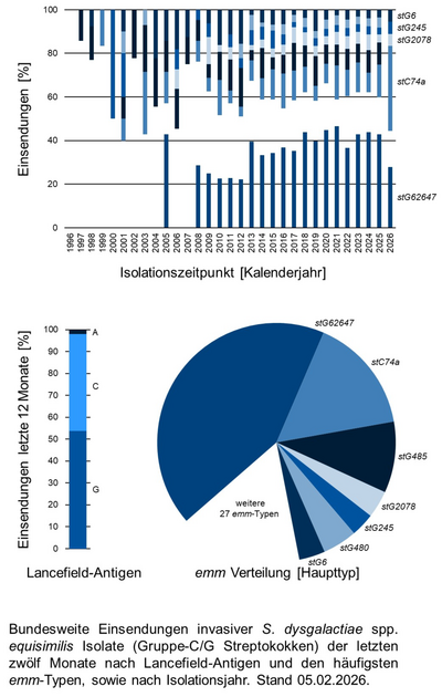 Balkendiagramm und Kuchendiagramm der bundesweiten Einsendungen invasiver Gruppe-C/G Streptokokken-Isolate aufgeschlüsselt nach Lancefield-Antigen, emm-Typen und Isolationsjahr.