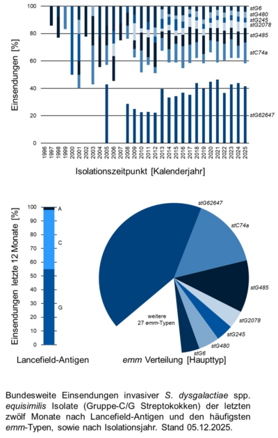 Balkendiagramm und Kuchendiagramm der bundesweiten Einsendungen invasiver Gruppe-C/G Streptokokken-Isolate aufgeschlüsselt nach Lancefield-Antigen, emm-Typen und Isolationsjahr.