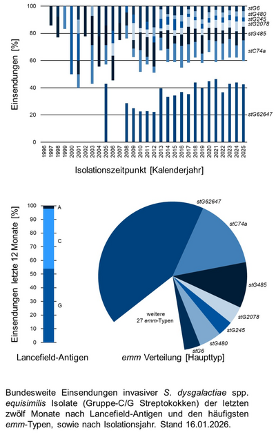 Balkendiagramm und Kuchendiagramm der bundesweiten Einsendungen invasiver Gruppe-C/G Streptokokken-Isolate aufgeschlüsselt nach Lancefield-Antigen, emm-Typen und Isolationsjahr.