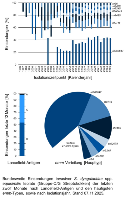 Balkendiagramm und Kuchendiagramm der bundesweiten Einsendungen invasiver Gruppe-C/G Streptokokken-Isolate aufgeschlüsselt nach Lancefield-Antigen, emm-Typen und Isolationsjahr.
