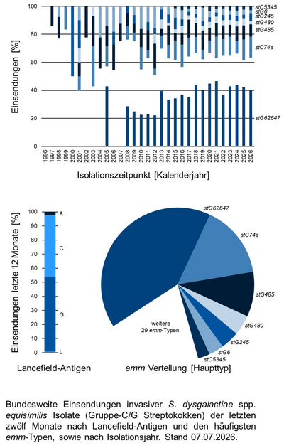 Balkendiagramm und Kuchendiagramm der bundesweiten Einsendungen invasiver Gruppe-C/G Streptokokken-Isolate aufgeschlüsselt nach Lancefield-Antigen, emm-Typen und Isolationsjahr.