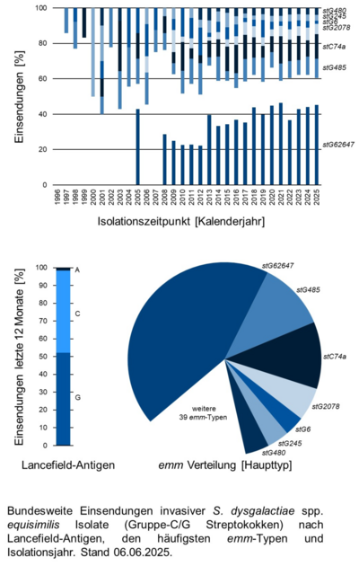 Balkendiagramm und Kuchendiagramm der bundesweiten Einsendungen invasiver Gruppe-C/G Streptokokken-Isolate aufgeschlüsselt nach Lancefield-Antigen, emm-Typen und Isolationsjahr.