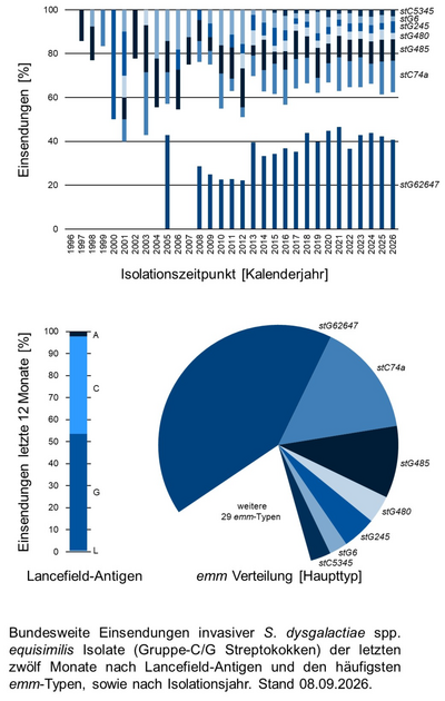 Balkendiagramm und Kuchendiagramm der bundesweiten Einsendungen invasiver Gruppe-C/G Streptokokken-Isolate aufgeschlüsselt nach Lancefield-Antigen, emm-Typen und Isolationsjahr.