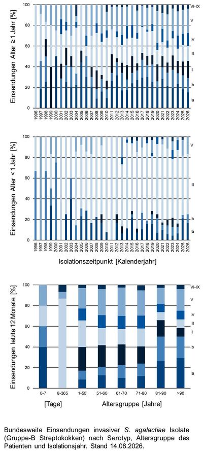 Balkendiagramme der bundesweiten Einsendungen invasiver Gruppe-B Streptokokken-Isolate aufgeschlüsselt nach Altersgruppe der Patientinnen und Patienten, Serotyp und Infektionszeitpunkt.