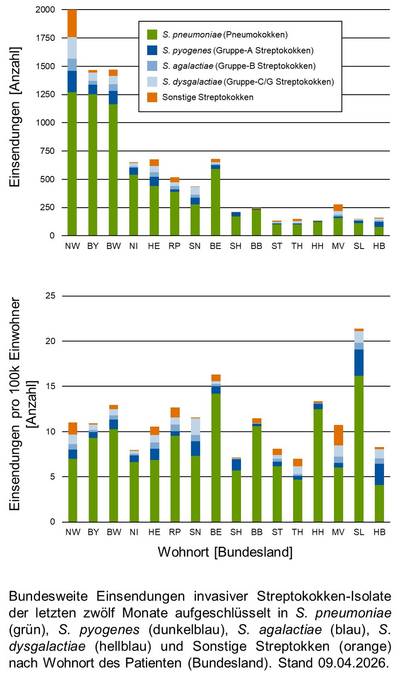 Balkendiagramm der bundesweiten Einsendungen invasiver Streptokokken-Isolate aufgeschlüsselt in verschiedene Gruppen von Streptokokken nach Bundesland und pro 100.000 Einwohnenden.