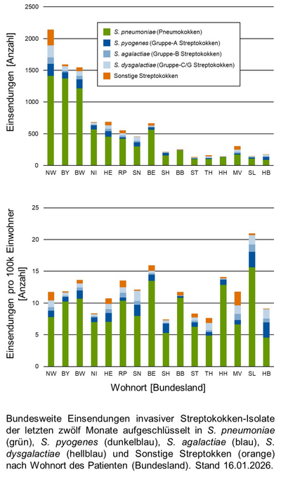 Balkendiagramm der bundesweiten Einsendungen invasiver Streptokokken-Isolate aufgeschlüsselt in verschiedene Gruppen von Streptokokken nach Bundesland und pro 100.000 Einwohnenden.
