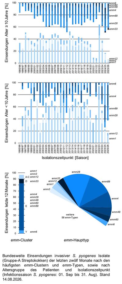 Kuchendiagramm der bundesweiten Einsendungen invasiver Gruppe-A Streptokokken-Isolate aufgeschlüsselt nach Altersgruppe der Patientinnen und Patienten, emm-Typen/Clustern und Infektionszeitpunkt.