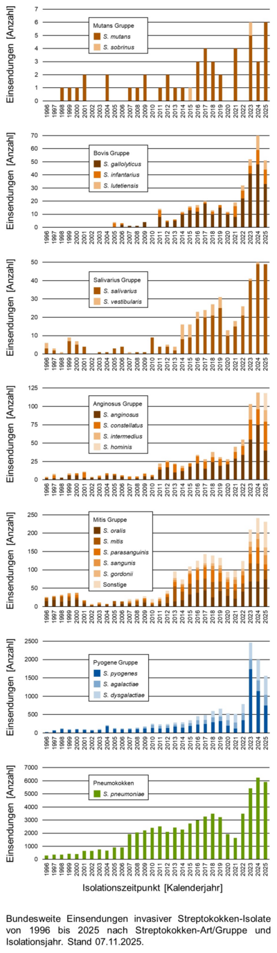 Balkendiagramme der bundesweiten Einsendungen invasiver Streptokokken-Isolate aufgeschlüsselt in verschiedene Gruppen von Streptokokken nach Einsendungsjahr.