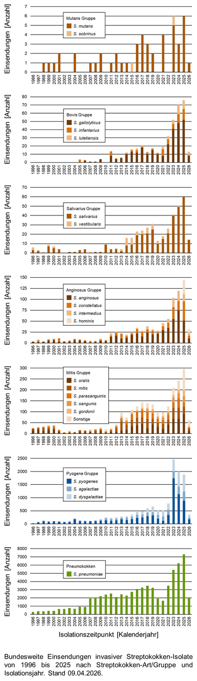 Balkendiagramme der bundesweiten Einsendungen invasiver Streptokokken-Isolate aufgeschlüsselt in verschiedene Gruppen von Streptokokken nach Einsendungsjahr.