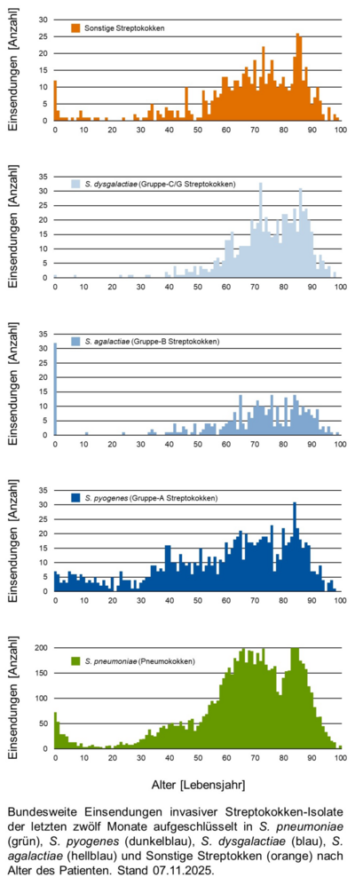 Histogramme der bundesweiten Einsendungen invasiver Streptokokken-Isolate aufgeschlüsselt in verschiedene Gruppen von Streptokokken nach Altersgruppen der Patientinnen und Patienten.