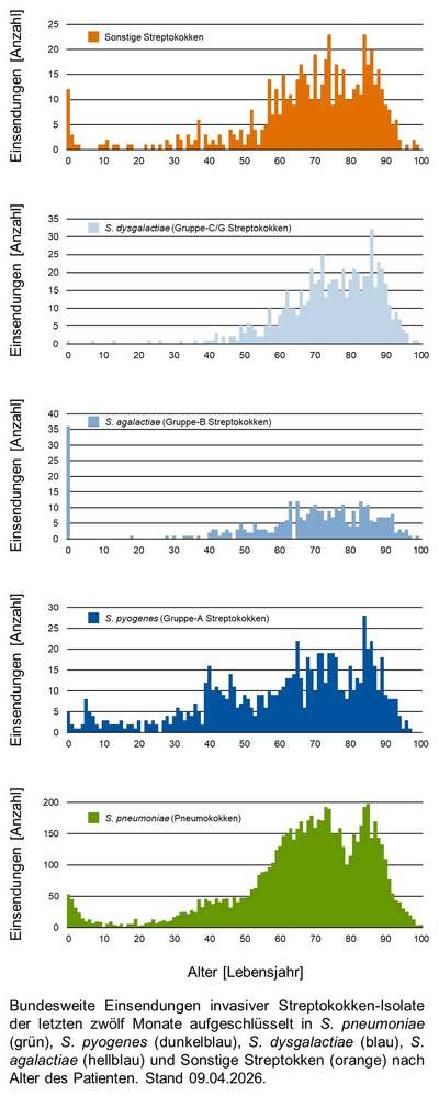 Histogramme der bundesweiten Einsendungen invasiver Streptokokken-Isolate aufgeschlüsselt in verschiedene Gruppen von Streptokokken nach Altersgruppen der Patientinnen und Patienten.