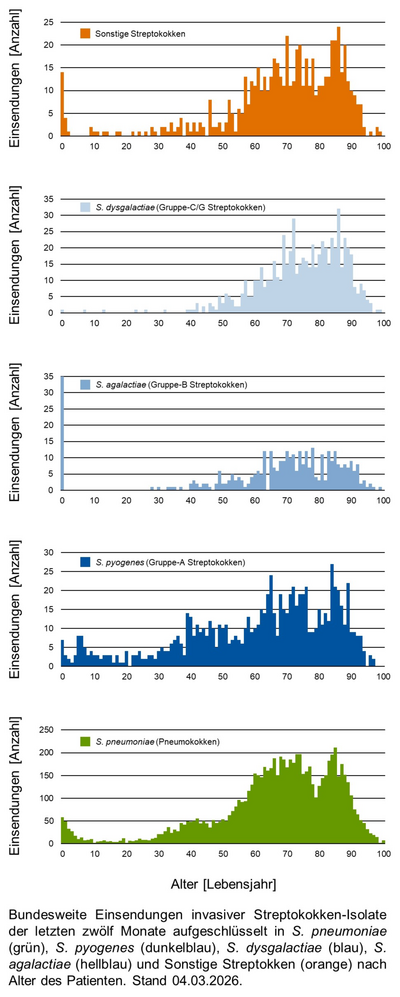 Histogramme der bundesweiten Einsendungen invasiver Streptokokken-Isolate aufgeschlüsselt in verschiedene Gruppen von Streptokokken nach Altersgruppen der Patientinnen und Patienten.