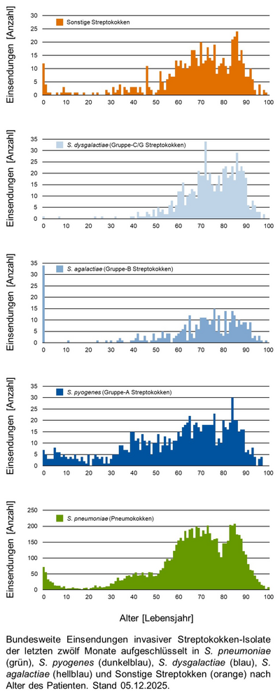 Histogramme der bundesweiten Einsendungen invasiver Streptokokken-Isolate aufgeschlüsselt in verschiedene Gruppen von Streptokokken nach Altersgruppen der Patientinnen und Patienten.