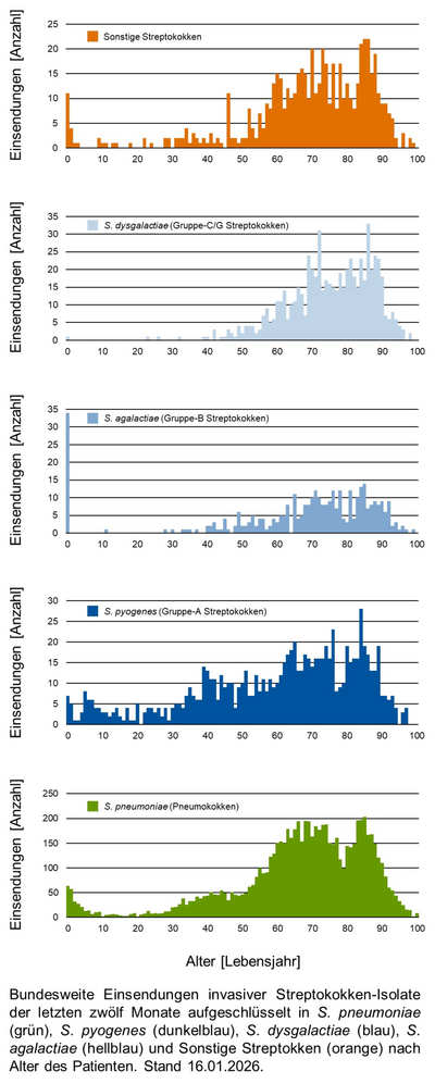 Histogramme der bundesweiten Einsendungen invasiver Streptokokken-Isolate aufgeschlüsselt in verschiedene Gruppen von Streptokokken nach Altersgruppen der Patientinnen und Patienten.