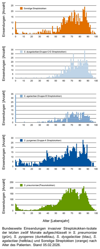 Histogramme der bundesweiten Einsendungen invasiver Streptokokken-Isolate aufgeschlüsselt in verschiedene Gruppen von Streptokokken nach Altersgruppen der Patientinnen und Patienten.