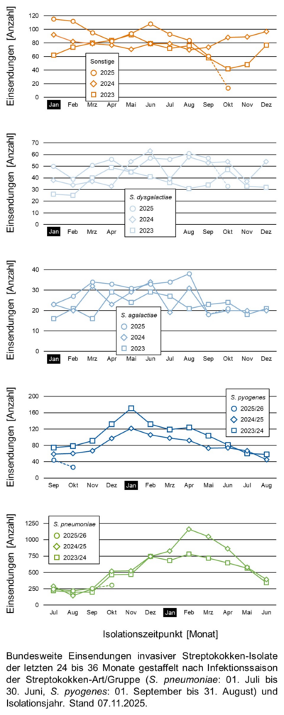 Liniendiagramme der bundesweiten Einsendungen invasiver Streptokokken-Isolate aufgeschlüsselt in verschiedene Gruppen von Streptokokken nach Infektionssaison.