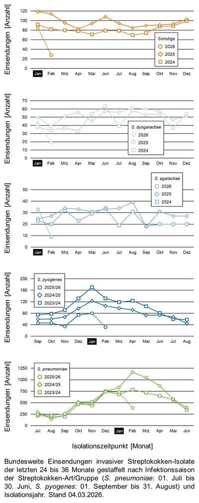 Liniendiagramme der bundesweiten Einsendungen invasiver Streptokokken-Isolate aufgeschlüsselt in verschiedene Gruppen von Streptokokken nach Infektionssaison.