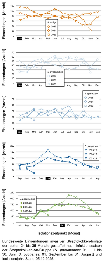 Liniendiagramme der bundesweiten Einsendungen invasiver Streptokokken-Isolate aufgeschlüsselt in verschiedene Gruppen von Streptokokken nach Infektionssaison.
