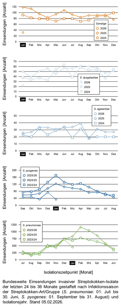 Liniendiagramme der bundesweiten Einsendungen invasiver Streptokokken-Isolate aufgeschlüsselt in verschiedene Gruppen von Streptokokken nach Infektionssaison.