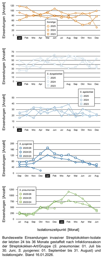 Liniendiagramme der bundesweiten Einsendungen invasiver Streptokokken-Isolate aufgeschlüsselt in verschiedene Gruppen von Streptokokken nach Infektionssaison.