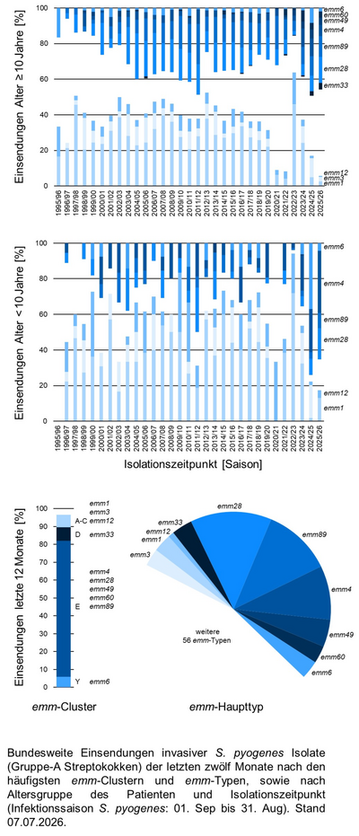 Kuchendiagramm der bundesweiten Einsendungen invasiver Gruppe-A Streptokokken-Isolate aufgeschlüsselt nach Altersgruppe der Patientinnen und Patienten, emm-Typen/Clustern und Infektionszeitpunkt.