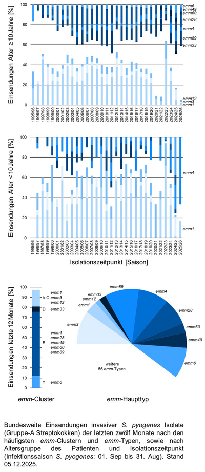 Kuchendiagramm der bundesweiten Einsendungen invasiver Gruppe-A Streptokokken-Isolate aufgeschlüsselt nach Altersgruppe der Patientinnen und Patienten, emm-Typen/Clustern und Infektionszeitpunkt.