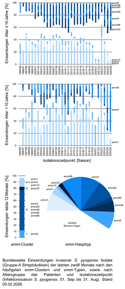 Kuchendiagramm der bundesweiten Einsendungen invasiver Gruppe-A Streptokokken-Isolate aufgeschlüsselt nach Altersgruppe der Patientinnen und Patienten, emm-Typen/Clustern und Infektionszeitpunkt.