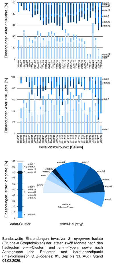 Kuchendiagramm der bundesweiten Einsendungen invasiver Gruppe-A Streptokokken-Isolate aufgeschlüsselt nach Altersgruppe der Patientinnen und Patienten, emm-Typen/Clustern und Infektionszeitpunkt.