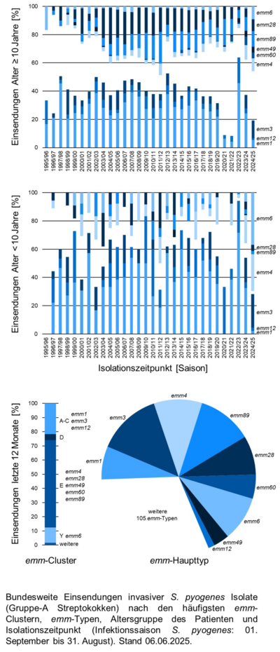 Kuchendiagramm der bundesweiten Einsendungen invasiver Gruppe-A Streptokokken-Isolate aufgeschlüsselt nach Altersgruppe der Patientinnen und Patienten, emm-Typen/Clustern und Infektionszeitpunkt.