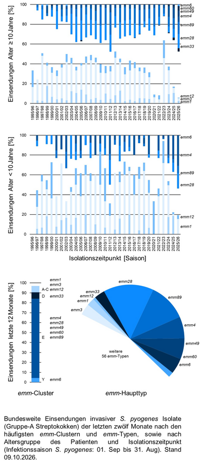Kuchendiagramm der bundesweiten Einsendungen invasiver Gruppe-A Streptokokken-Isolate aufgeschlüsselt nach Altersgruppe der Patientinnen und Patienten, emm-Typen/Clustern und Infektionszeitpunkt.