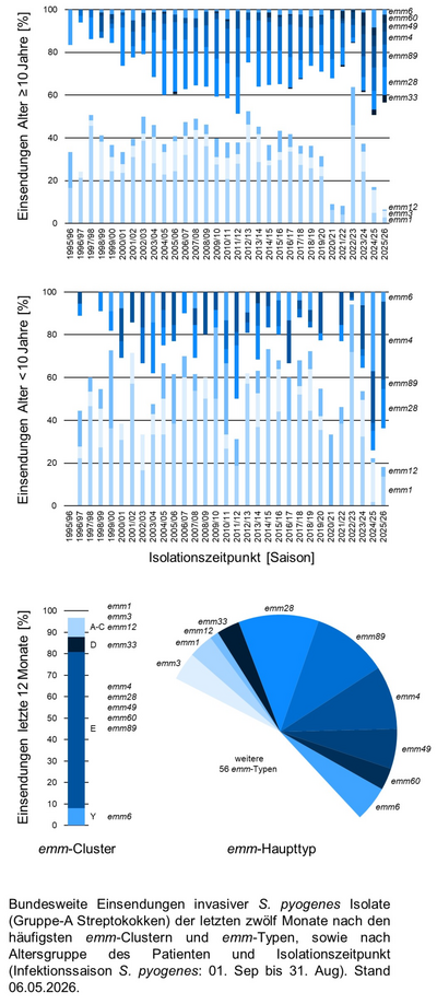 Kuchendiagramm der bundesweiten Einsendungen invasiver Gruppe-A Streptokokken-Isolate aufgeschlüsselt nach Altersgruppe der Patientinnen und Patienten, emm-Typen/Clustern und Infektionszeitpunkt.