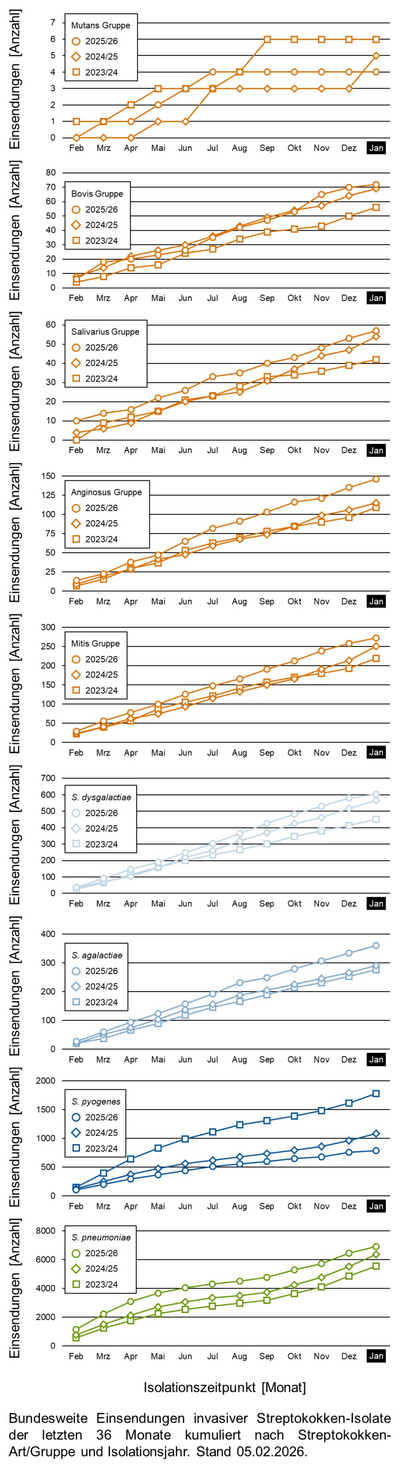 Liniendiagramme der bundesweiten Einsendungen invasiver Streptokokken-Isolate aufgeschlüsselt in verschiedene Gruppen von Streptokokken nach Einsendungsmonat.