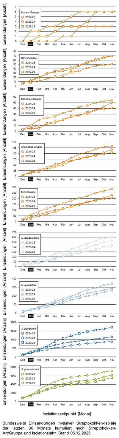 Liniendiagramme der bundesweiten Einsendungen invasiver Streptokokken-Isolate aufgeschlüsselt in verschiedene Gruppen von Streptokokken nach Einsendungsmonat.