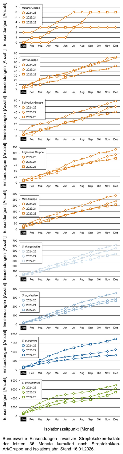 Liniendiagramme der bundesweiten Einsendungen invasiver Streptokokken-Isolate aufgeschlüsselt in verschiedene Gruppen von Streptokokken nach Einsendungsmonat.