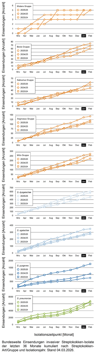 Liniendiagramme der bundesweiten Einsendungen invasiver Streptokokken-Isolate aufgeschlüsselt in verschiedene Gruppen von Streptokokken nach Einsendungsmonat.