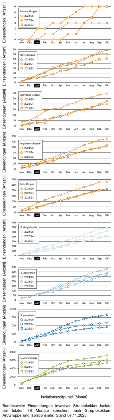 Liniendiagramme der bundesweiten Einsendungen invasiver Streptokokken-Isolate aufgeschlüsselt in verschiedene Gruppen von Streptokokken nach Einsendungsmonat.
