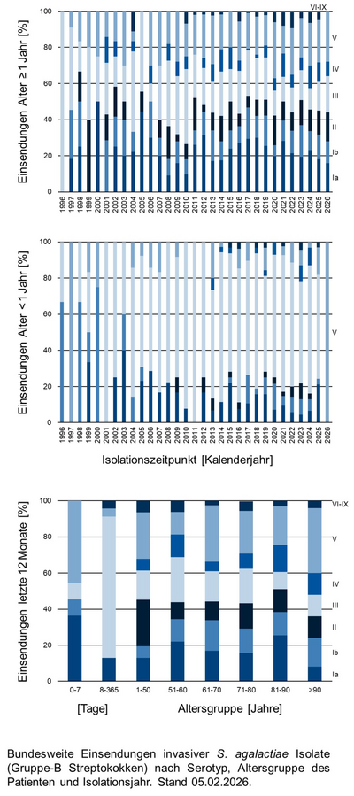 Balkendiagramme der bundesweiten Einsendungen invasiver Gruppe-B Streptokokken-Isolate aufgeschlüsselt nach Altersgruppe der Patientinnen und Patienten, Serotyp und Infektionszeitpunkt.