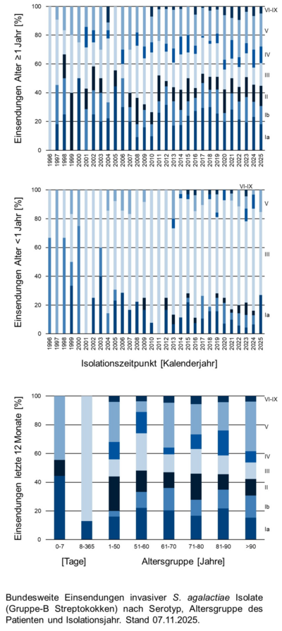 Balkendiagramme der bundesweiten Einsendungen invasiver Gruppe-B Streptokokken-Isolate aufgeschlüsselt nach Altersgruppe der Patientinnen und Patienten, Serotyp und Infektionszeitpunkt.