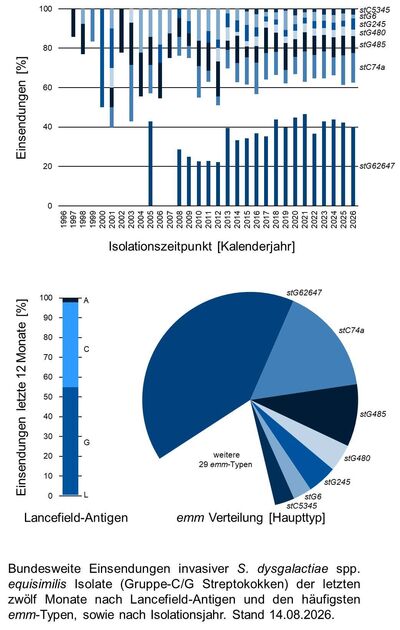 Balkendiagramm und Kuchendiagramm der bundesweiten Einsendungen invasiver Gruppe-C/G Streptokokken-Isolate aufgeschlüsselt nach Lancefield-Antigen, emm-Typen und Isolationsjahr.