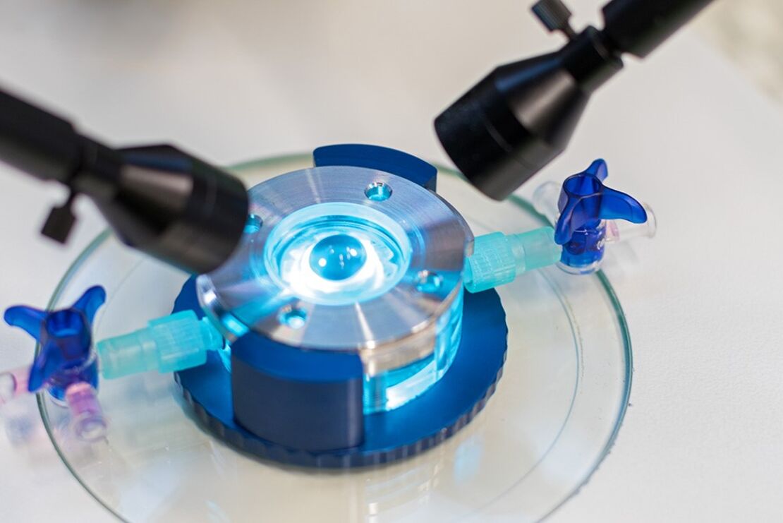 EVEIT Ex Vivo Eye Irritation Test