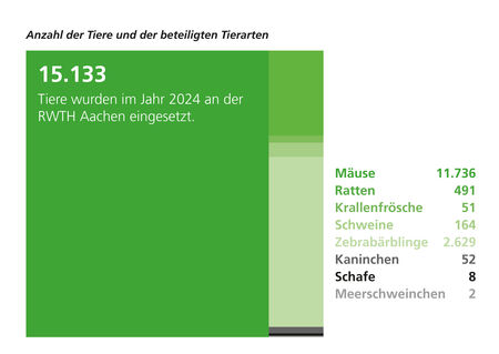 Grafik mit der Überschrift ‚Anzahl der Tiere und der beteiligten Tierarten‘: Im Jahr 2024 wurden an der RWTH Aachen insgesamt 15.133 Tiere eingesetzt. Dargestellt sind folgende Tierarten mit jeweiliger Anzahl: Mäuse (11.736), Zebrabärblinge (2.629), Ratten (491), Schweine (164), Kaninchen (52), Krallenfrösche (51), Schafe (8) und Meerschweinchen (2).