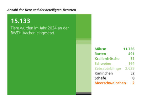 Grafik mit der Überschrift ‚Anzahl der Tiere und der beteiligten Tierarten‘: Im Jahr 2024 wurden an der RWTH Aachen insgesamt 15.133 Tiere eingesetzt. Dargestellt sind folgende Tierarten mit jeweiliger Anzahl: Mäuse (11.736), Zebrabärblinge (2.629), Ratten (491), Schweine (164), Kaninchen (52), Krallenfrösche (51), Schafe (8) und Meerschweinchen (2).