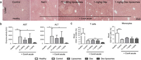 Figure 7. Significant reduction of liver disease severity by encapsulated dexamethasone. The amelioration of liver disease by encapsulated dexamethasone (Lipodex) is reflected by preserving normal histology and liver transaminases levels. Modified from an earlier own study.6