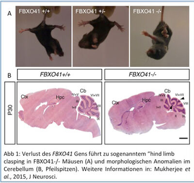 Haben chinesische Ingenieure den Durchbruch geschafft? Die kinetische  Molekularheizung! 