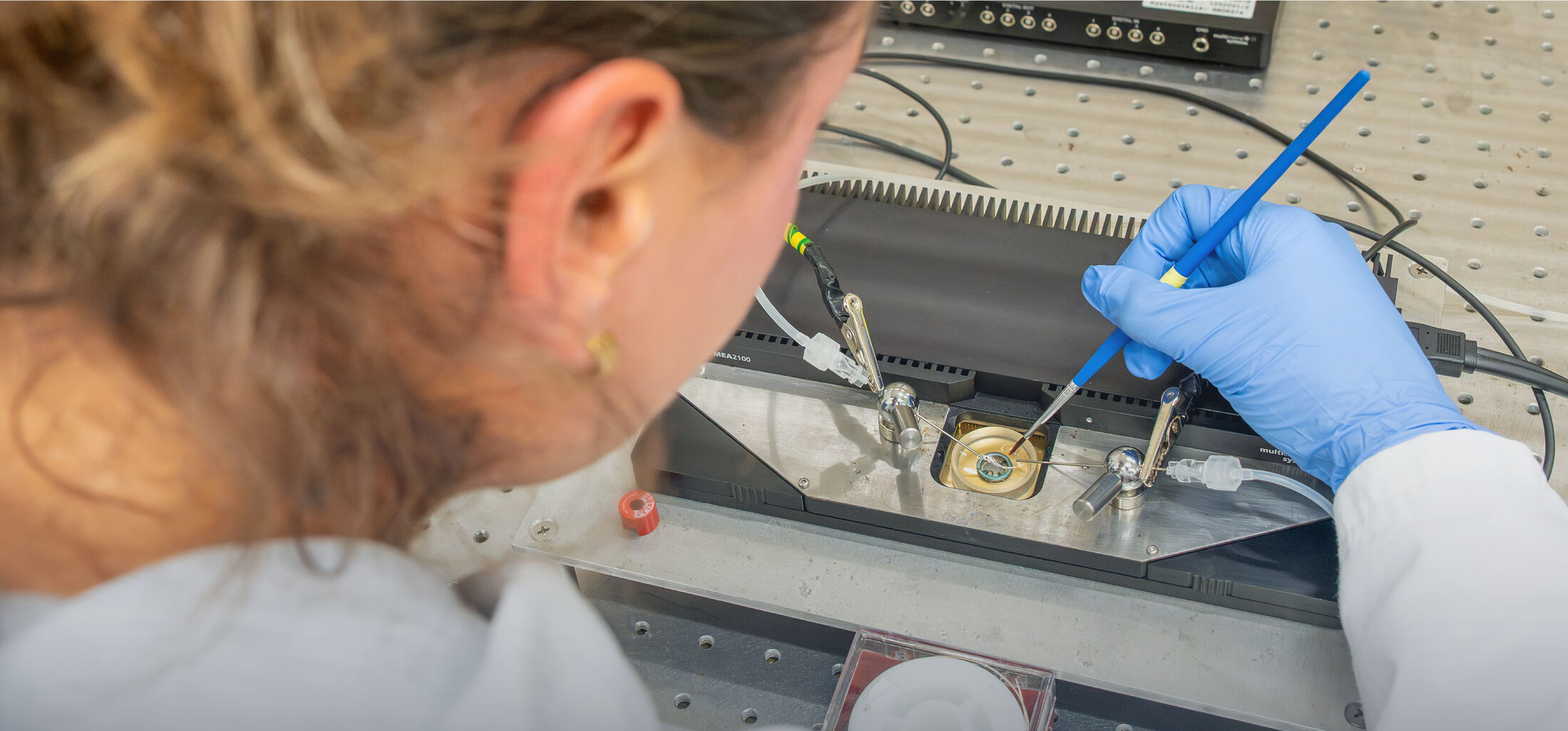 [Translate to Englisch:] 