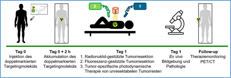 Die Grafik zeigt den zeitlichen Ablauf einer Tumorbehandlung mit einem speziellen, doppelt markierten Molekül, das zur Diagnose und Therapie eingesetzt wird. Es beginnt mit der Injektion, gefolgt von Bildgebung, Operation und Nachsorgeuntersuchungen wie PET/CT zur Therapiekontrolle.