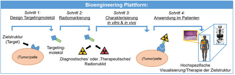 Die Grafik zeigt eine vierstufige Plattform zur Entwicklung und Anwendung eines bioengineerten Moleküls zur Krebsbehandlung – vom Design über die Markierung und Testung bis zur Anwendung beim Patienten. Jeder Schritt ist mit einfachen Symbolen und Pfeilen dargestellt, die den Ablauf von der Forschung bis zur Therapie veranschaulichen.