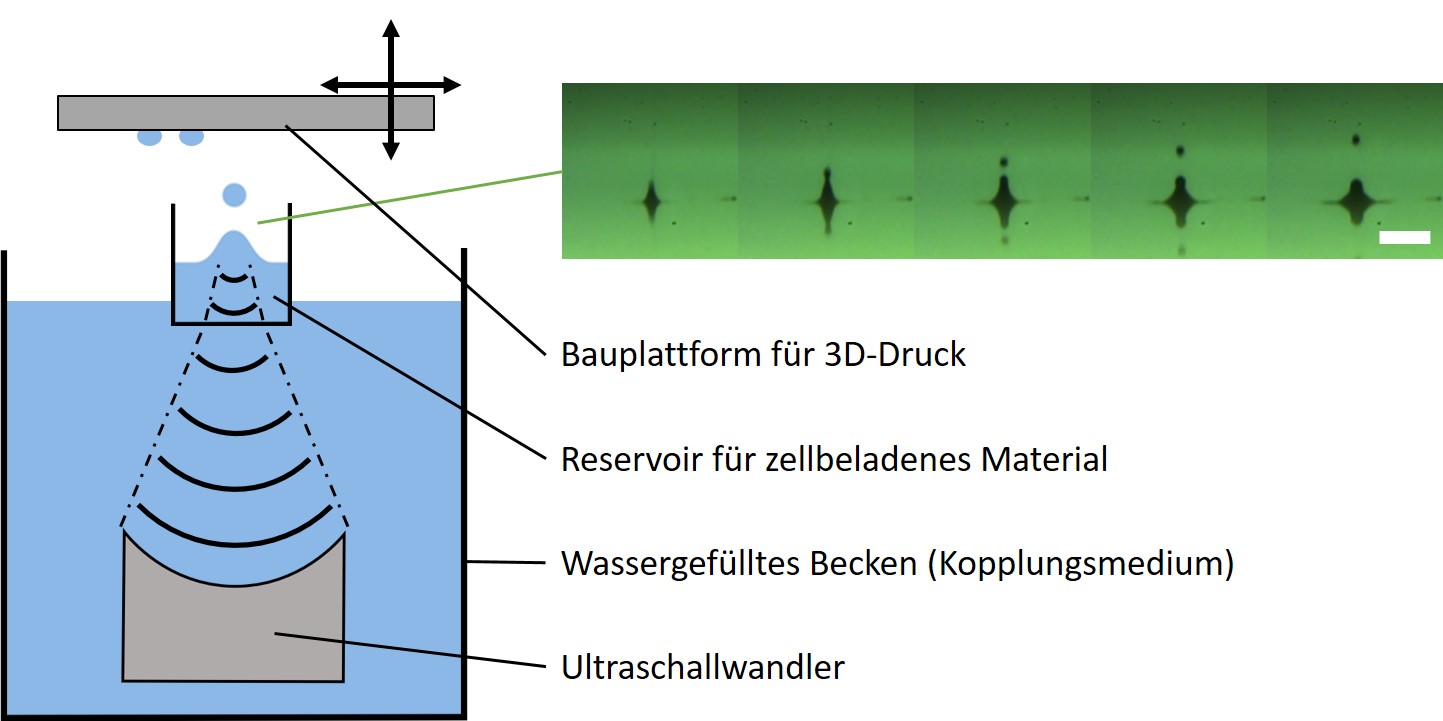 AcousticBioprinting