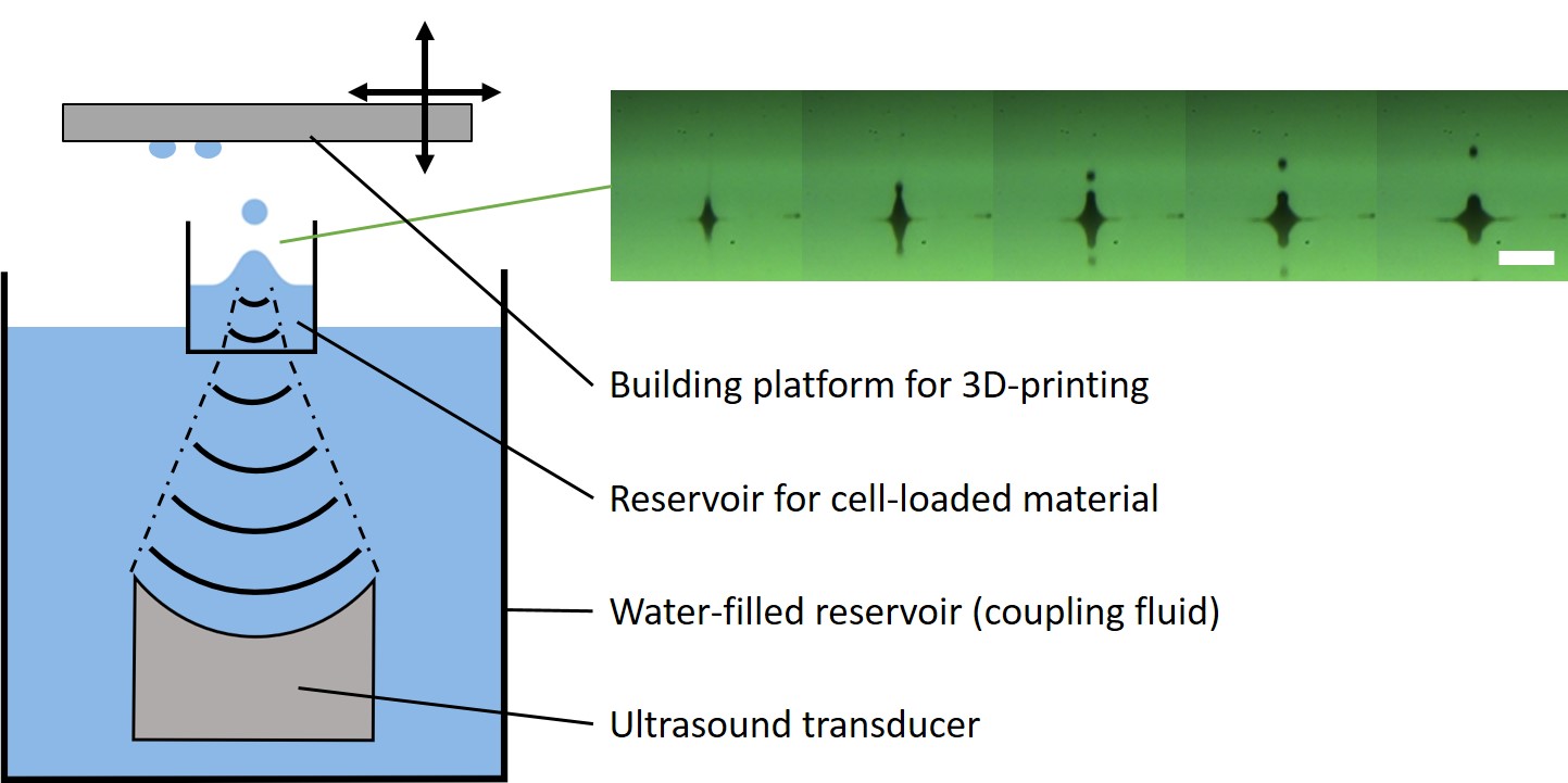 AcousticBioprinting